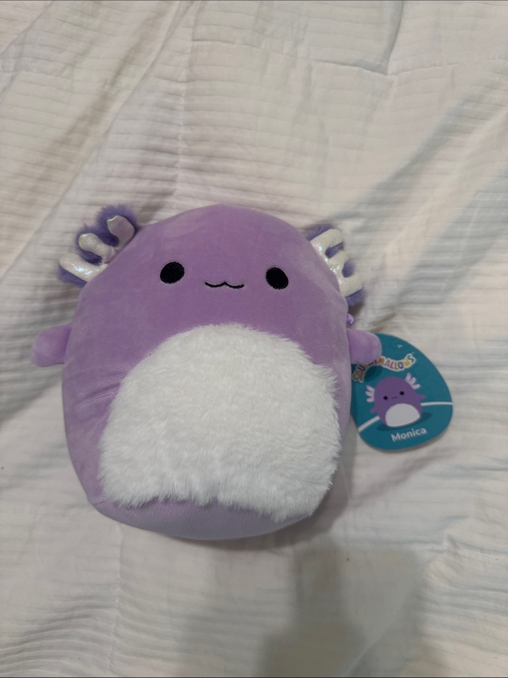 Monica Axolotl Squishmallow 8”